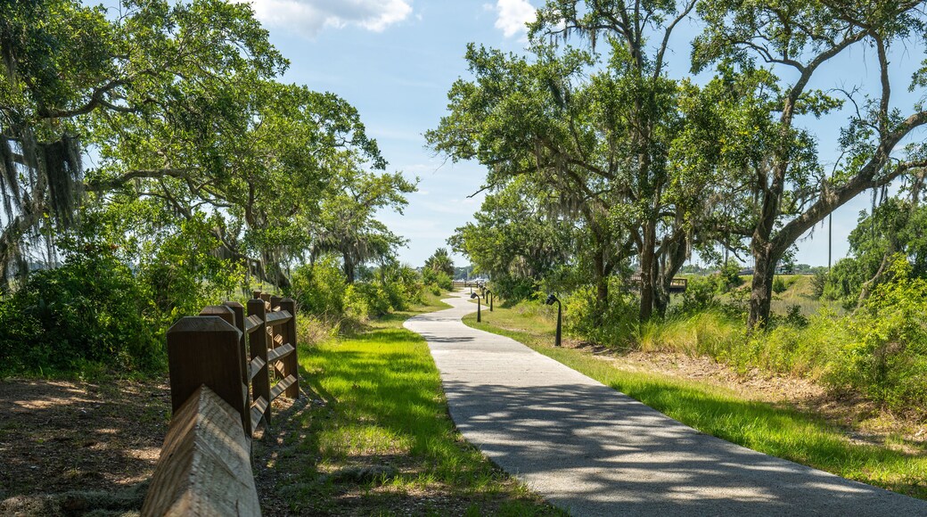 Wide angle pathway to downtown Beaufort SC