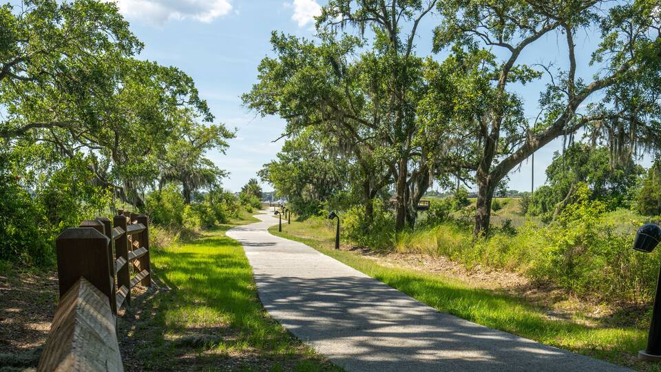 Wide angle pathway to downtown Beaufort SC