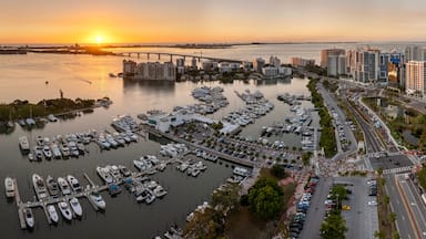 A marina with boats, a bridge, and high-rise buildings.