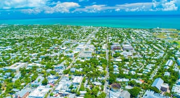 Aerial view of Island Key West . Florida. USA.