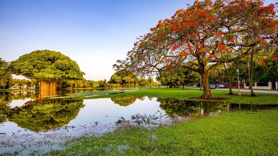 Summer mornings - GRANADA golf course - coral gables
