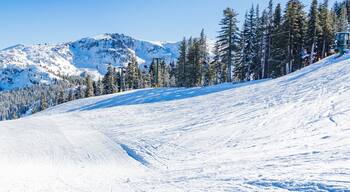 This way - Skiing - Snowboarding - Trails