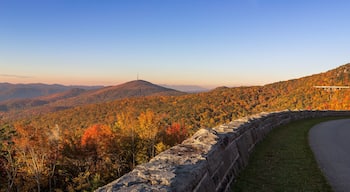 ์ฐจํฐ ํ์ค