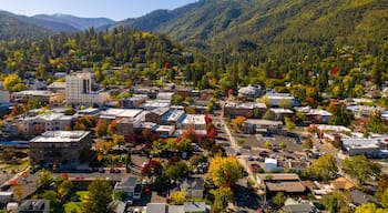 Distrito histórico Skidmore Academy