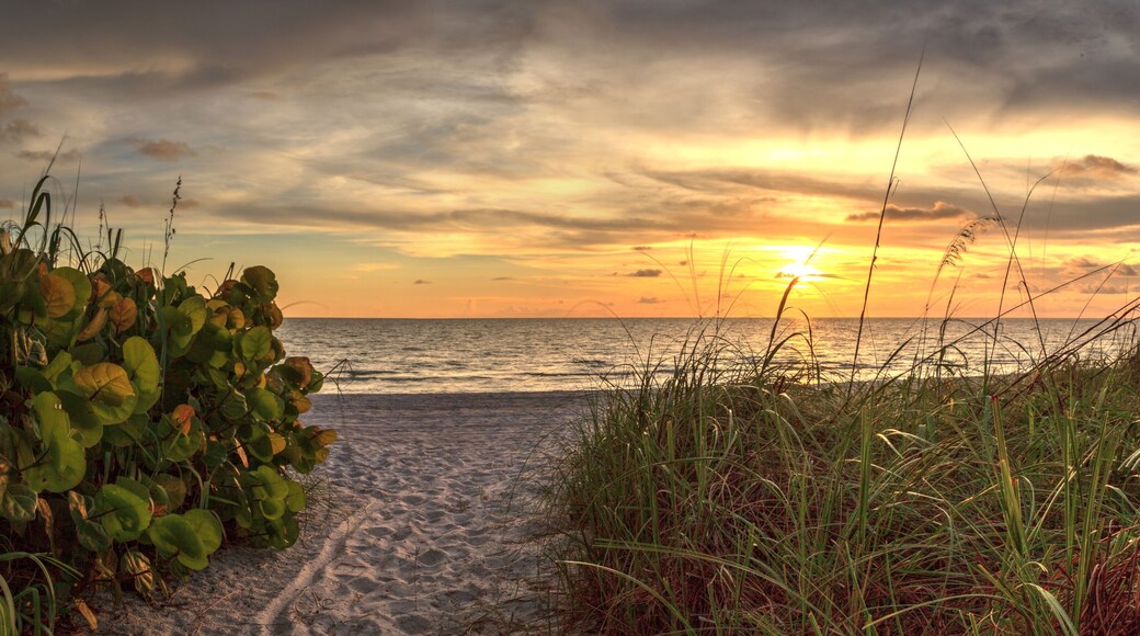 White sand path leading toward Delnor Wiggins State Park at sunset