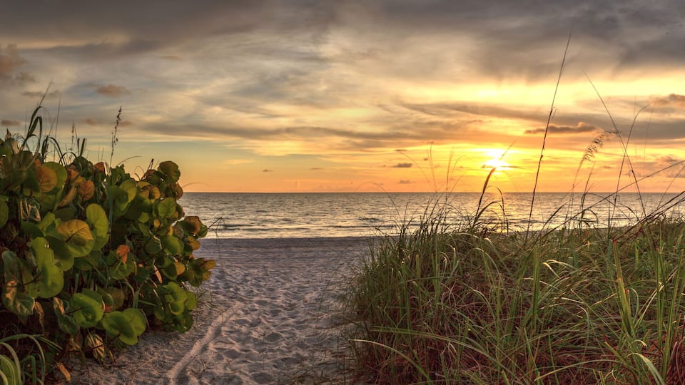 Uma trilha na praia com vegetação, conduzindo ao oceano ao pôr do sol.