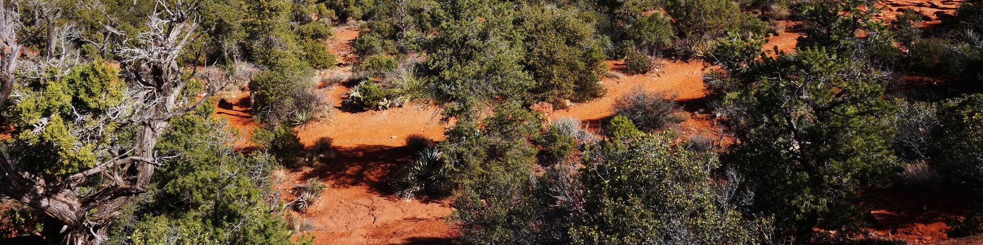 View of Oak Creek Canyon in Arizona
