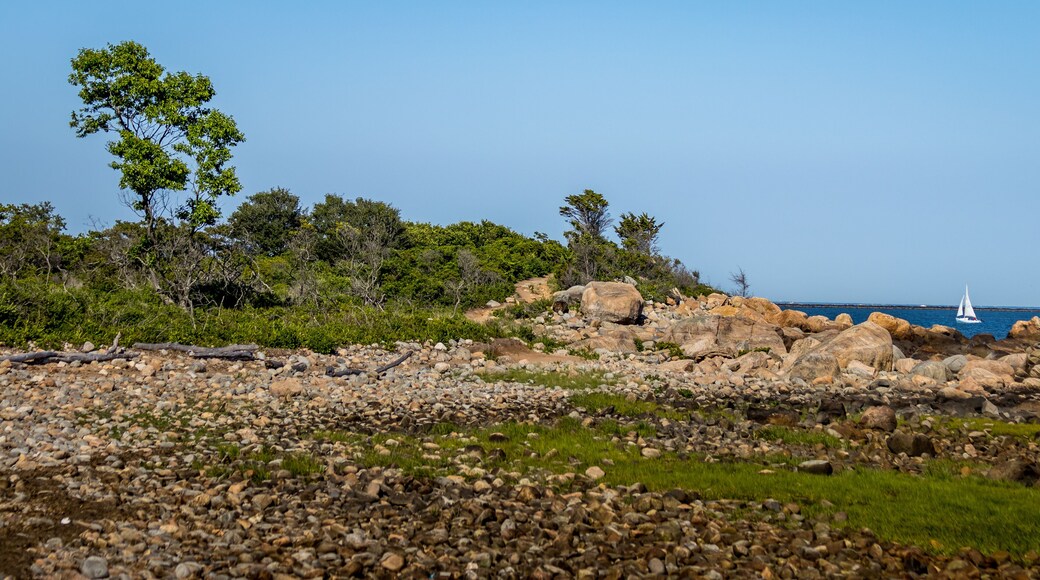 เวสต์บรู๊ค เซ็นเตอร์