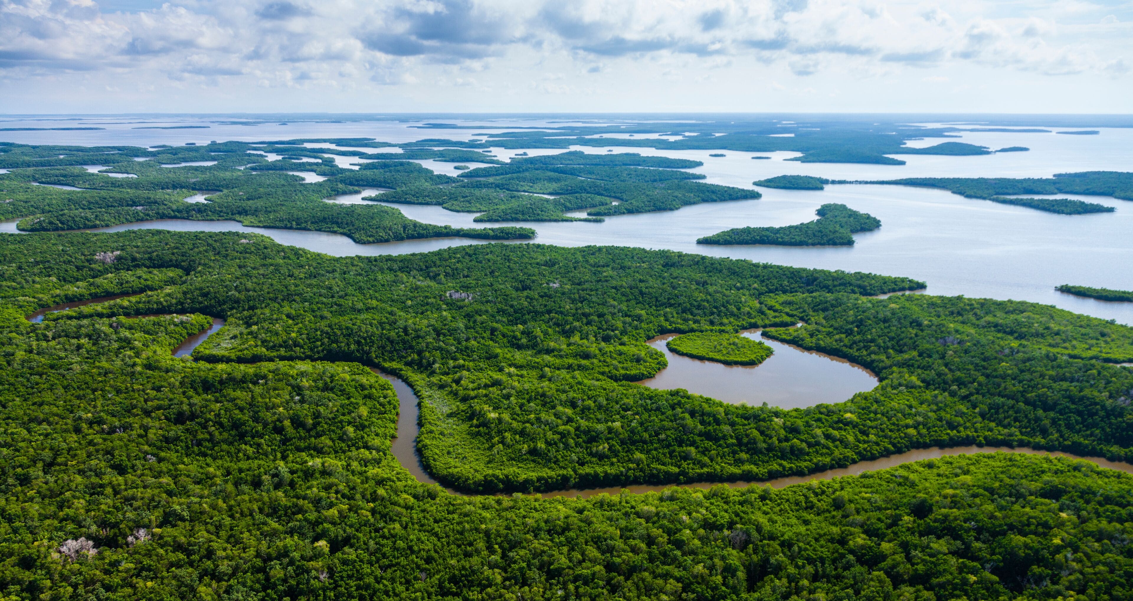 Aerial view, Everglades Natuional Park, FLORIDA, USA, AMERICA