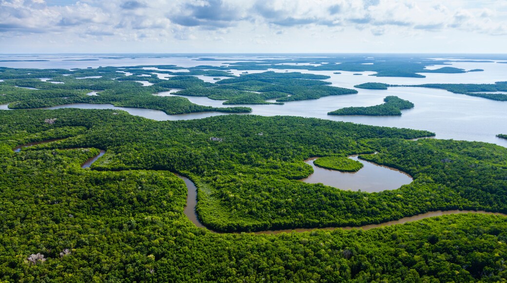 Aerial view, Everglades Natuional Park, FLORIDA, USA, AMERICA