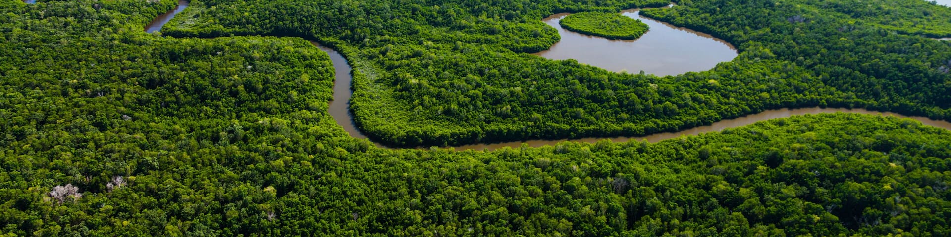 An aerial view of a dense, green landscape with numerous water bodies and winding rivers.