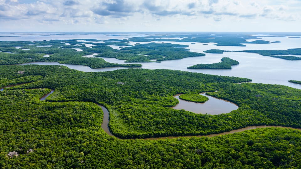 Aerial view, Everglades Natuional Park, FLORIDA, USA, AMERICA