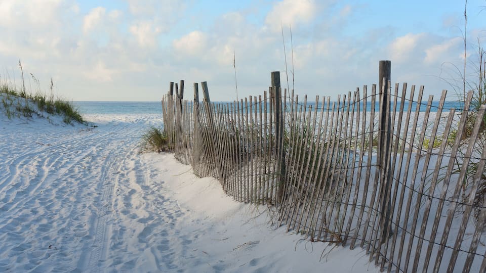 A sandy beach with a wooden fence and sparse vegetation.