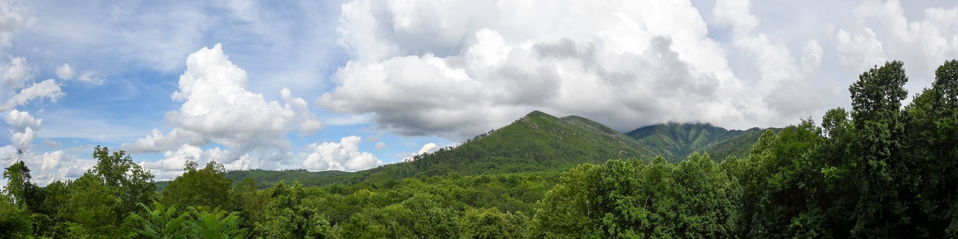 Web banner of Mt. LeConte in Great Smoky Mountains National Park