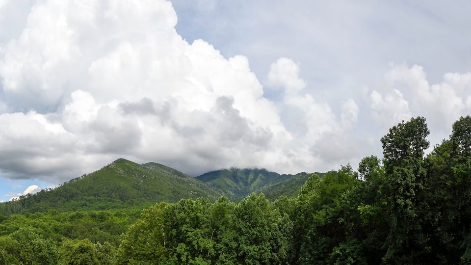 Web banner of Mt. LeConte in Great Smoky Mountains National Park