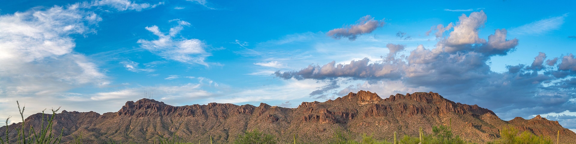 Tucson Mountain Park with Saguaro Cactus Panorama