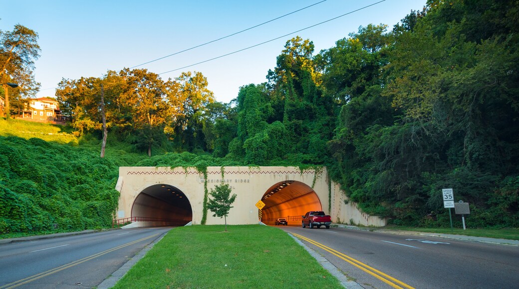 Tunnel at Missionary Ridge