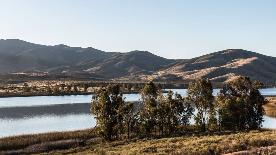 Group of trees with lake and mountain range in the distance at Lower Otay Lake in Chula Vista, California.