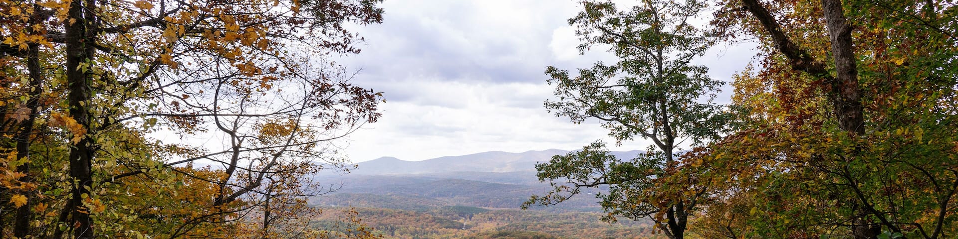 A view of the southern Appalachian mountains in peak fall foliage framed by fall trees. Photographed from the top of the falls at Amicalola Falls State Park in north Georgia.
