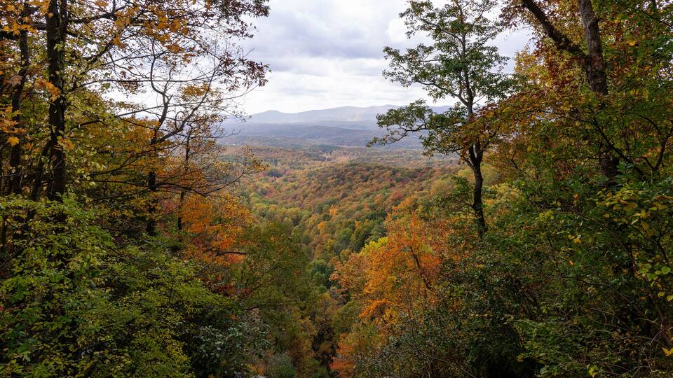 A view of the southern Appalachian mountains in peak fall foliage framed by fall trees. Photographed from the top of the falls at Amicalola Falls State Park in north Georgia.