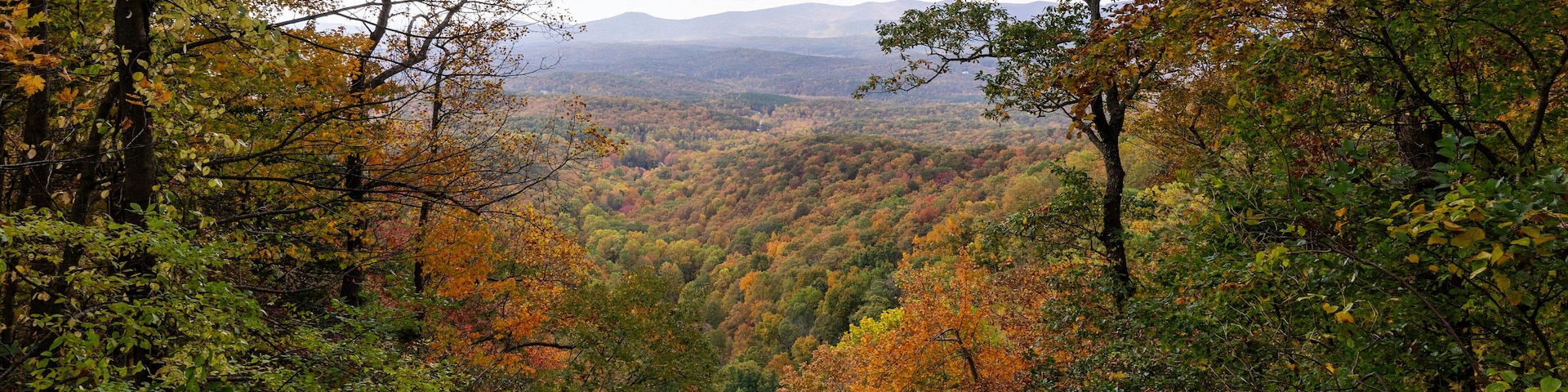 A view of the southern Appalachian mountains in peak fall foliage framed by fall trees. Photographed from the top of the falls at Amicalola Falls State Park in north Georgia.