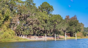 Swimming Area, Lake Hall, Maclay Gardens State Park, Florida