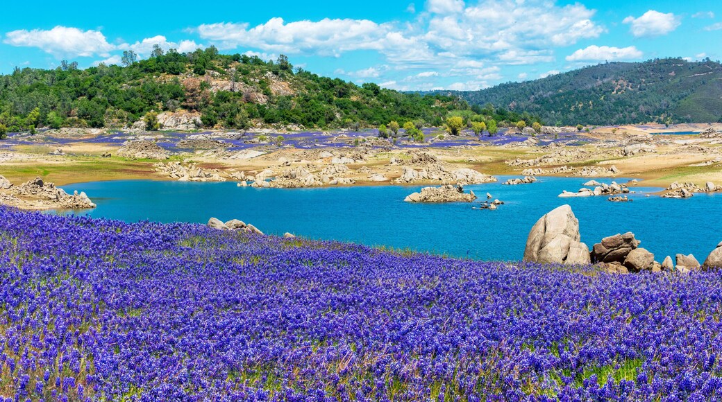 American River Canyon
