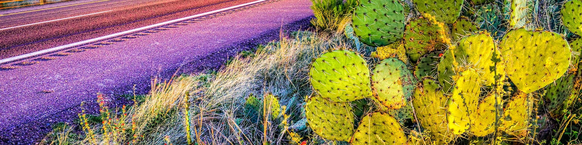 Desert light trails: Tonto National Forest, Arizona