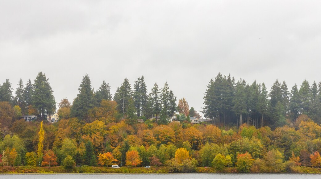 Scenic Autumn Landscape in Marathon Park along Capitol Lake in Olympia, Washington