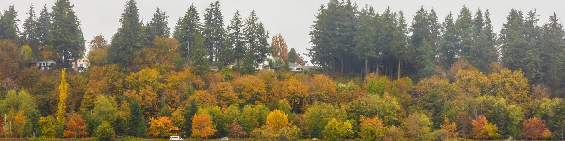 Scenic Autumn Landscape in Marathon Park along Capitol Lake in Olympia, Washington