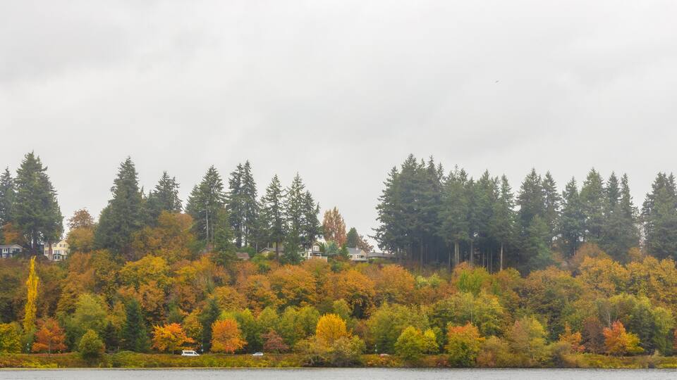 Scenic Autumn Landscape in Marathon Park along Capitol Lake in Olympia, Washington