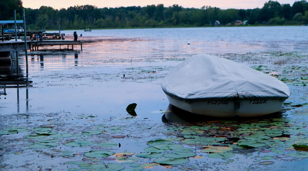 Heart Shaped Lake in Chicago