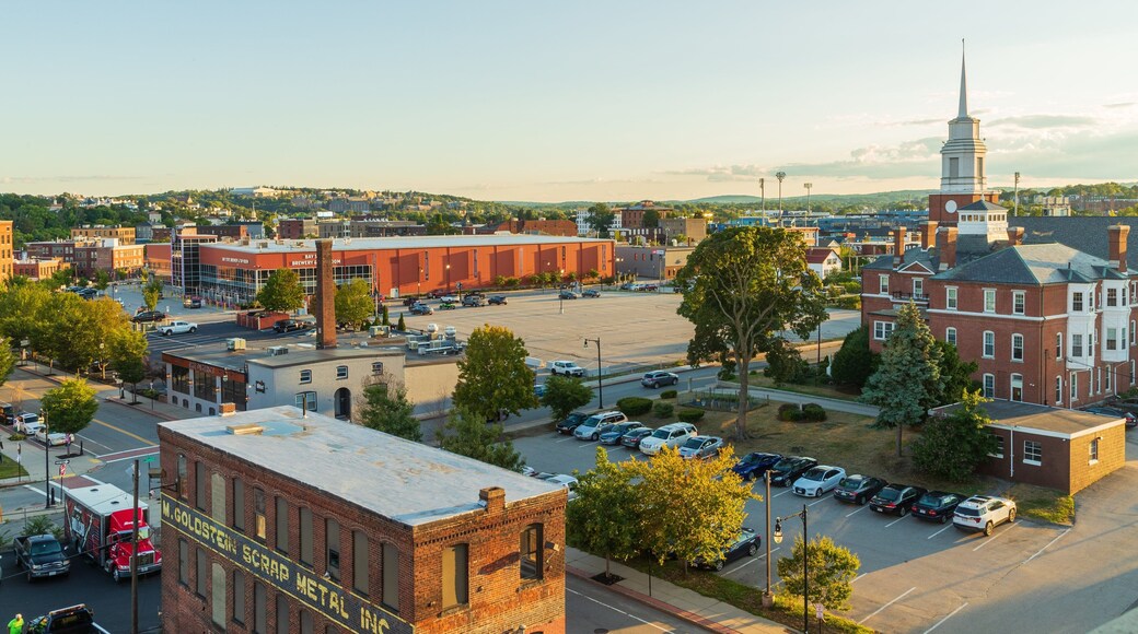 Worcester Central Business District which includes landscape views