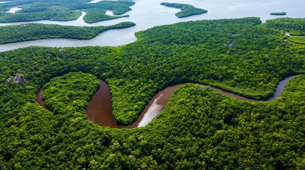Aerial view, Everglades Natuional Park, FLORIDA, USA, AMERICA