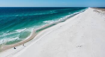 BellaMar at Gulf Place