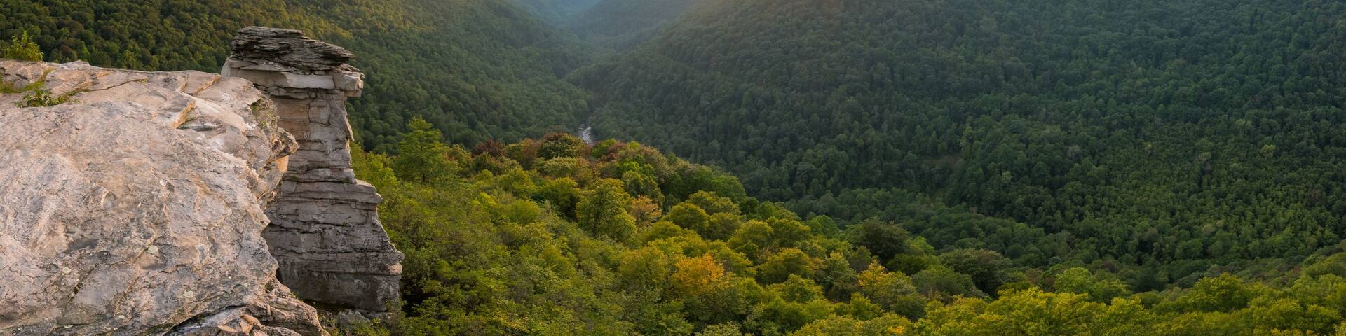 Lindy Point Panorama in Blackwater Falls State Park, West Virginia
