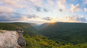 คานาน ไฮท์ส