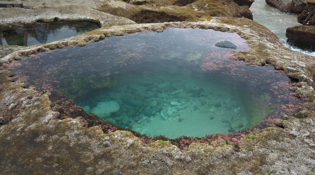 Heart-shaped tide pool at low tide at Akaogi district in Amami Oshima, Kagoshima, Japan