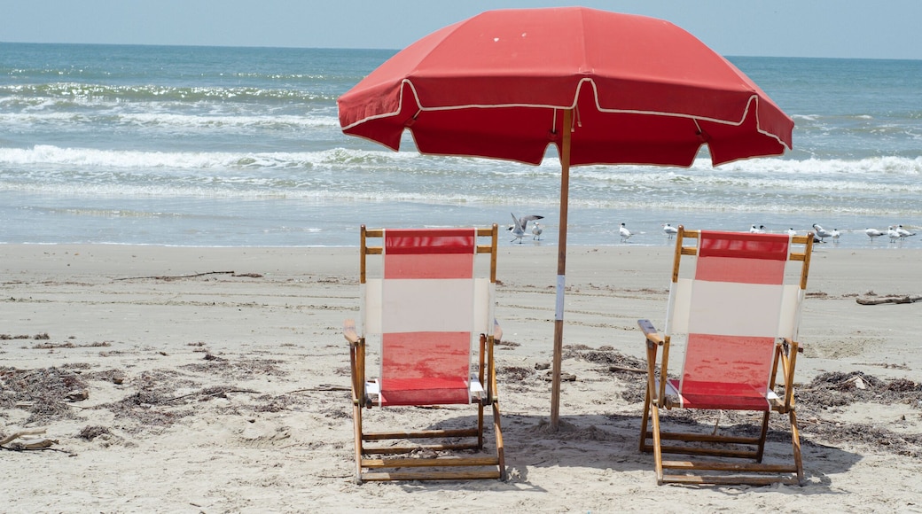 Galveston Island Beaches