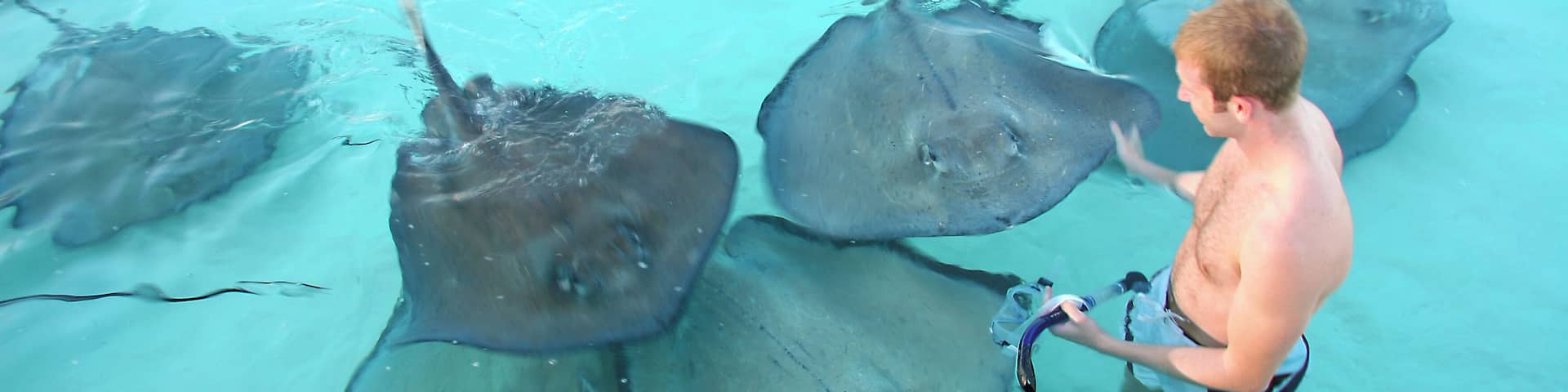 Mobbed by stingrays, Sand Bar, Grand Cayman.