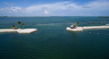 لونج بيتش إستايتس