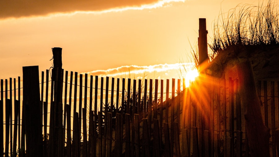 vibrant summer coastal sunset