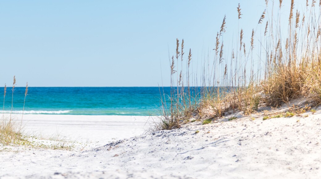 StrÀnde von Pensacola Beach