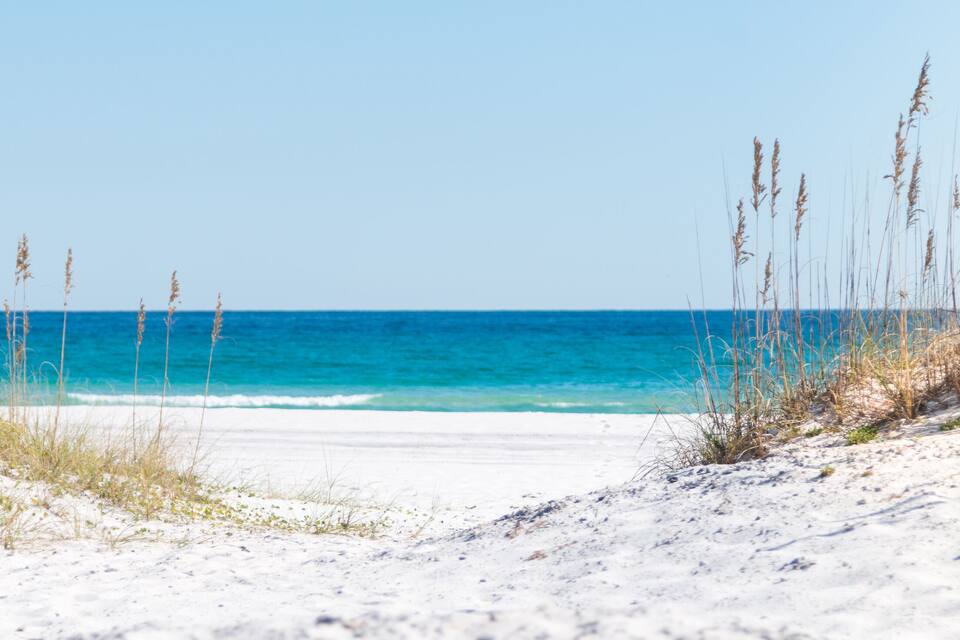 A beach with white sand and tall grasses leading to the ocean.