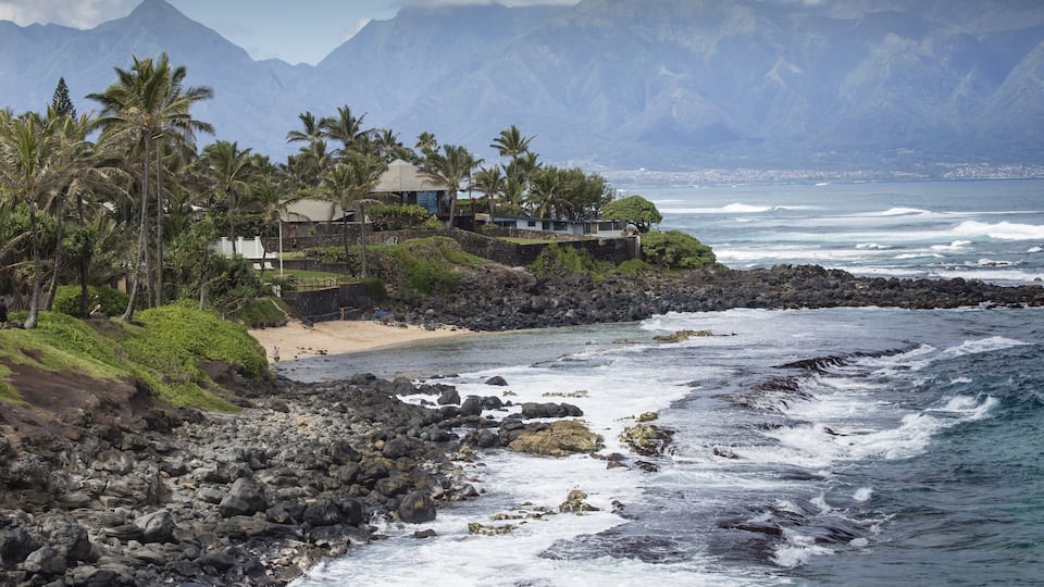 A rocky coastline with waves crashing onto the shore, palm trees, and a mountain range in the background.