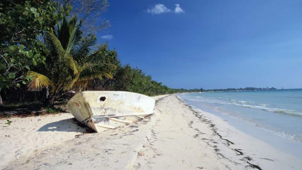 Old Boat Wrecked on a White Sand Beach