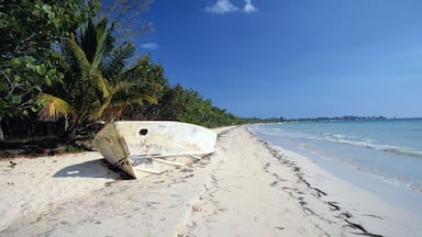 Old Boat Wrecked on a White Sand Beach