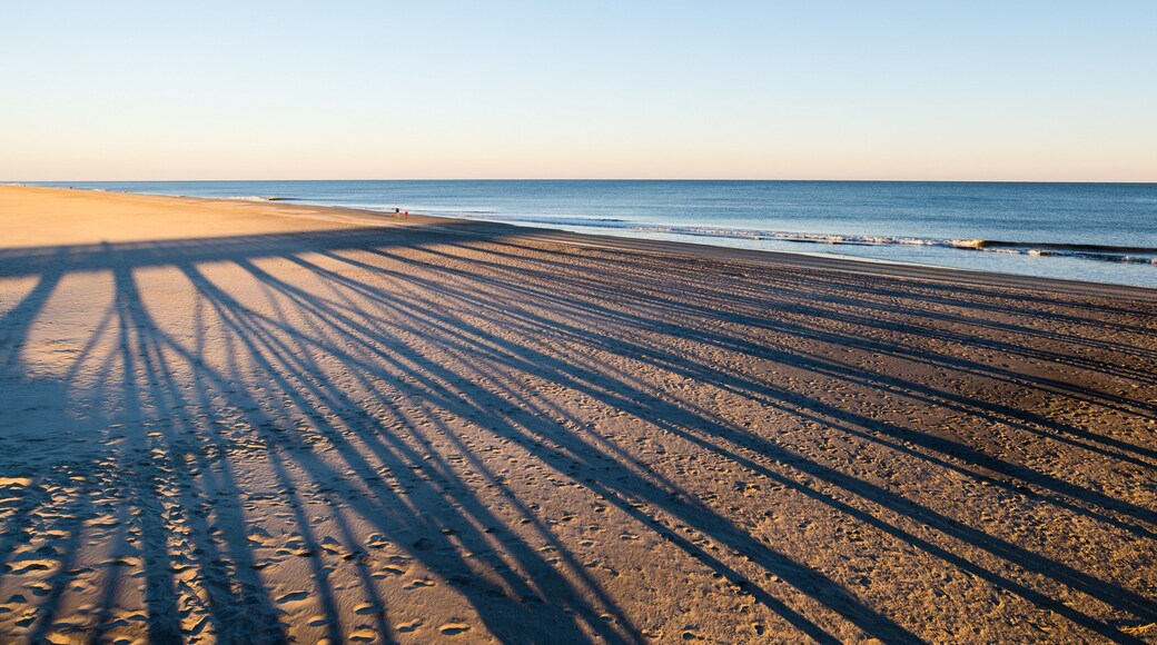 Playas de Folly Beach
