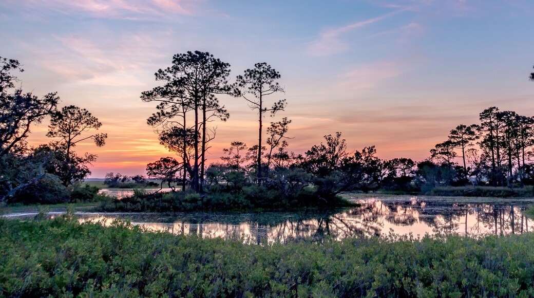 nature landscape scenes around hunting island state park in south carolina