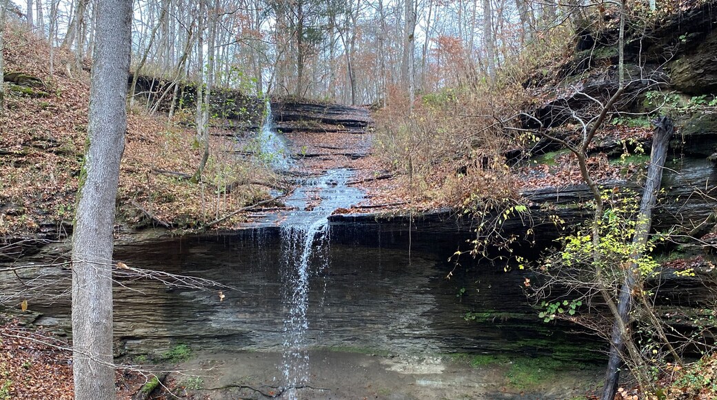 Fall Hollow Falls Trail